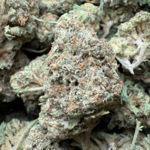 Chocolate Kush THCA