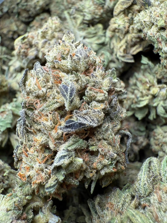 1/4 Pound Fat Boy OG THCA