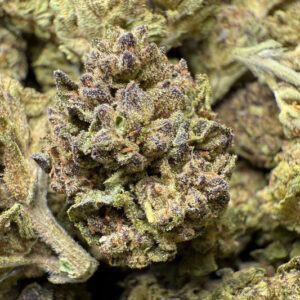 1 Pound – BCC Jealousy Strain THCA (Sold Out)