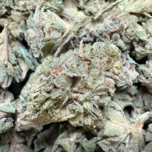 1 Pound – Lemon Tree THCA Strain