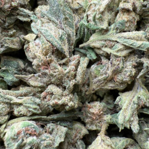 1 Pound – Purple Sunset BX2 THCA Strain (Smalls)