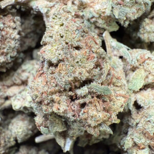 1 Pound – Alien OG THCA