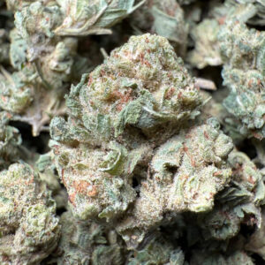 1 Pound – Chem Sorbet THCA Strain (Smalls)