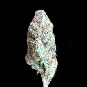 AAA Indoor Exotic – Goverment Oasis THCA Strain