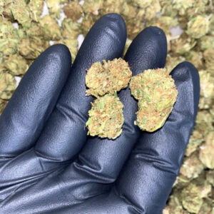 Frisco Labs – Sour Lifter CBD Strain